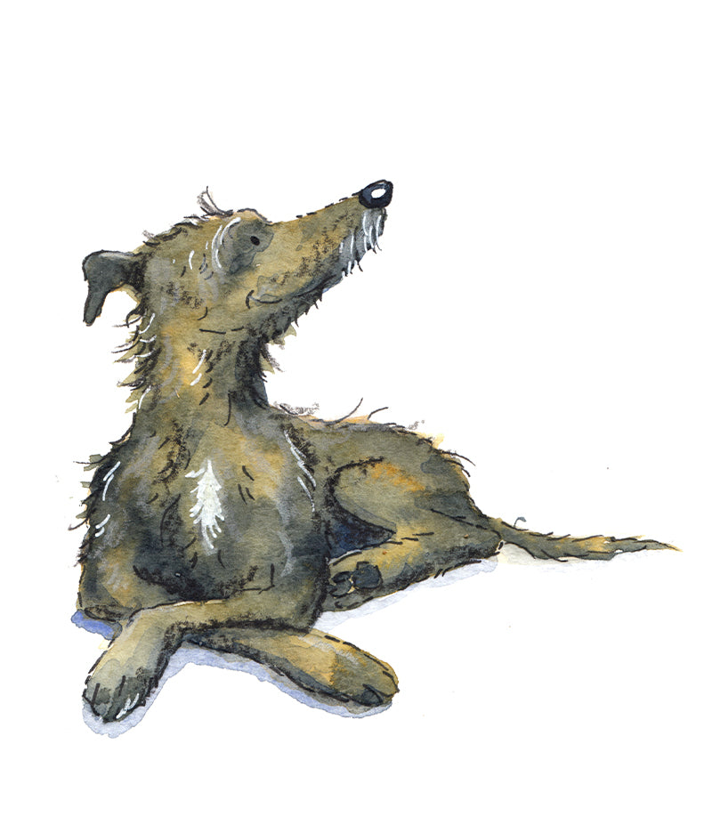 Lurcher Gifts Villager Jim's Shop