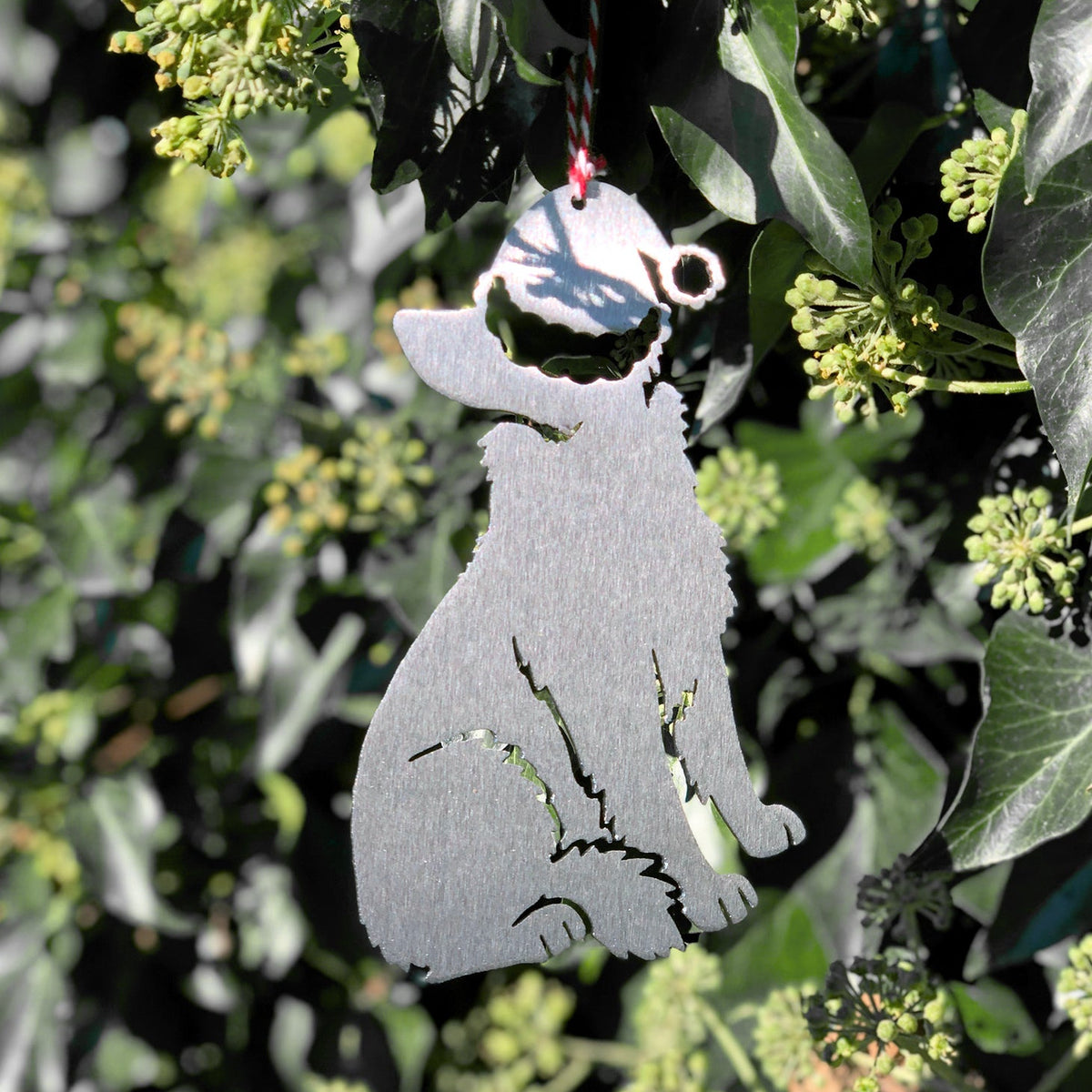 Border Collie in Santa Hat - Decorations for Life – Villager Jim's Shop
