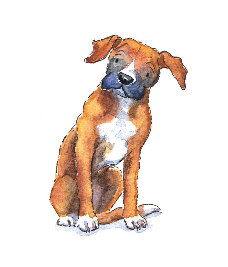 Boxer Gifts – Villager Jim's Shop