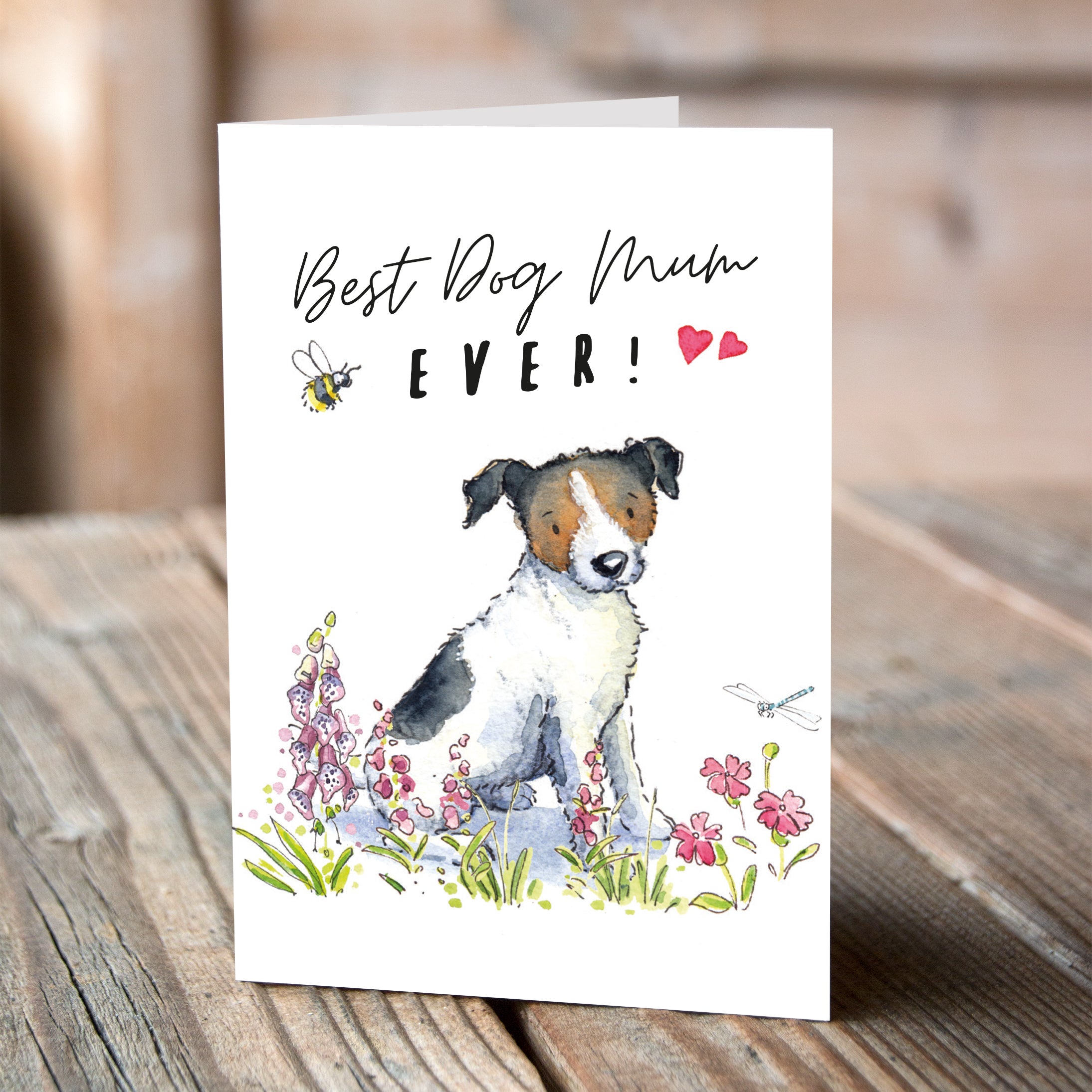 Jack Russell Puppies For Sale In Devon | Jack Russell Owners Jack Russell Puppies For Sale In Devon | Jack Russell Owners