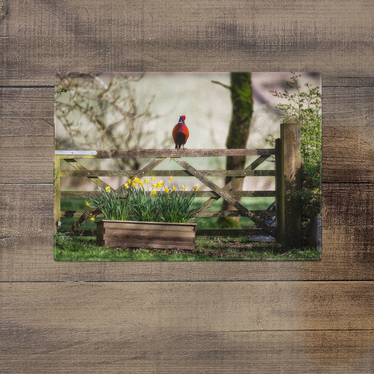 Norman in the Springtime - Glass Worktop Saver – Villager Jim's Shop