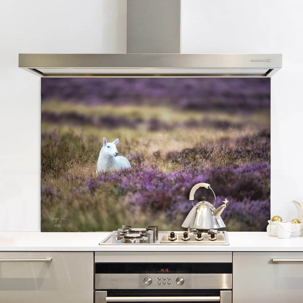 The Sheep And The Purple Heather - Limited Edition Splashback (Aug 22 ...