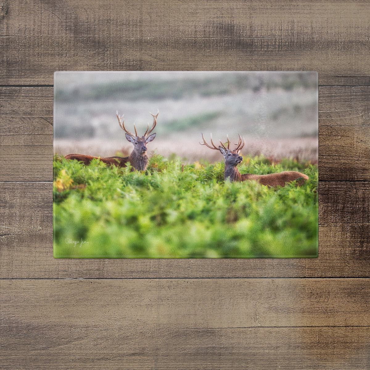 The Regal Brothers - Glass Worktop Saver – Villager Jim's Shop