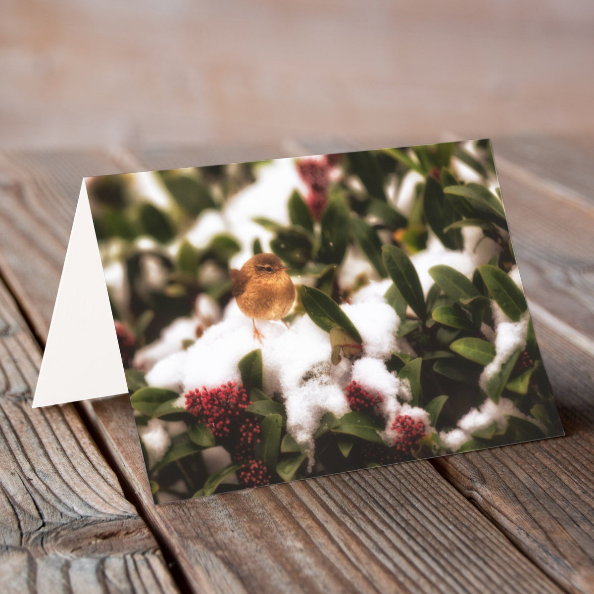 Christmas Jenny Christmas Card Villager Jim's Shop